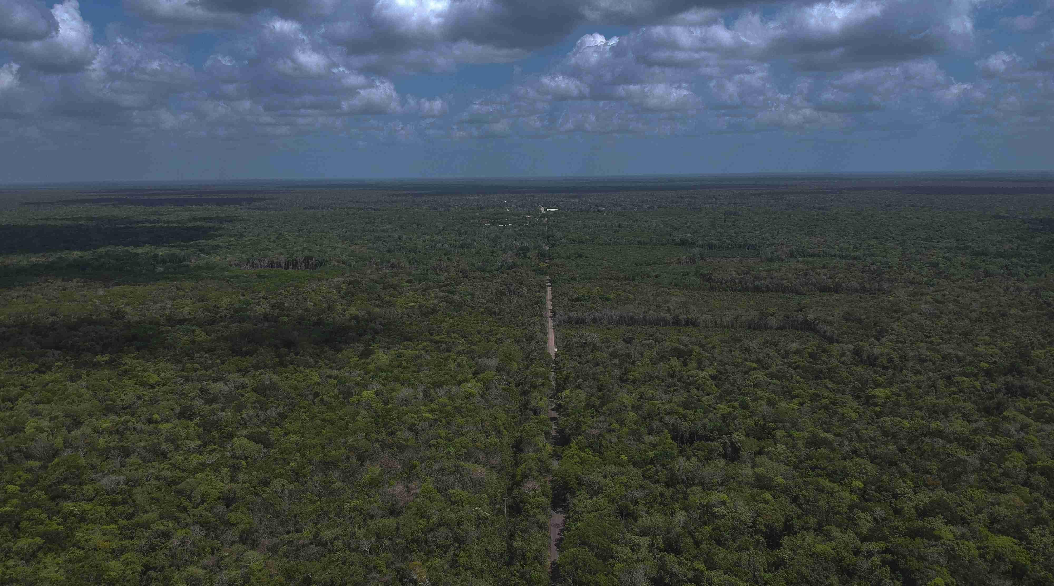 Science Based Targets initiative risks losing credibility over carbon